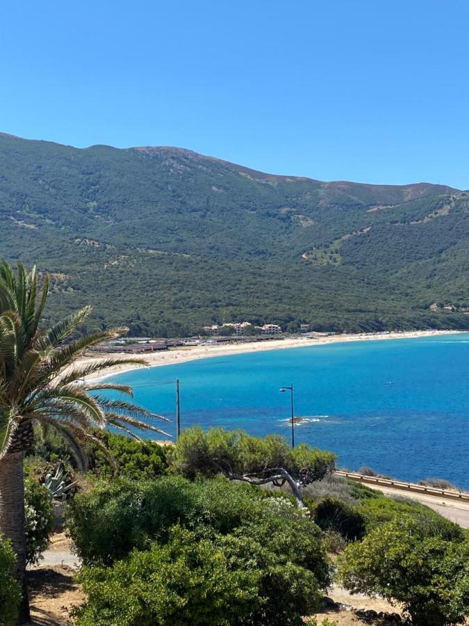 Villa Les Palmiers Calcatoggio  Εξωτερικό φωτογραφία